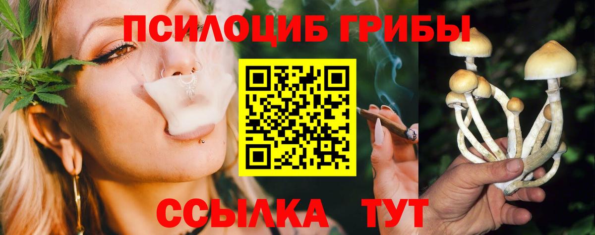 Псилоцибиновые грибы мухоморы  наркотики  Балтийск  Вход с VPN  Псилоцибиновые грибы GOLDEN TEACHER 