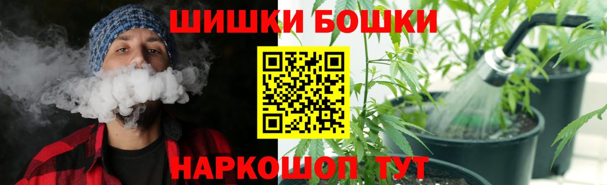 Канабис OG Kush Балтийск